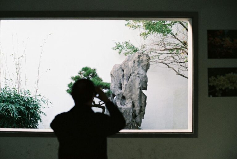 Silhouette of a man taking a photo inside a museum with greenery outside.