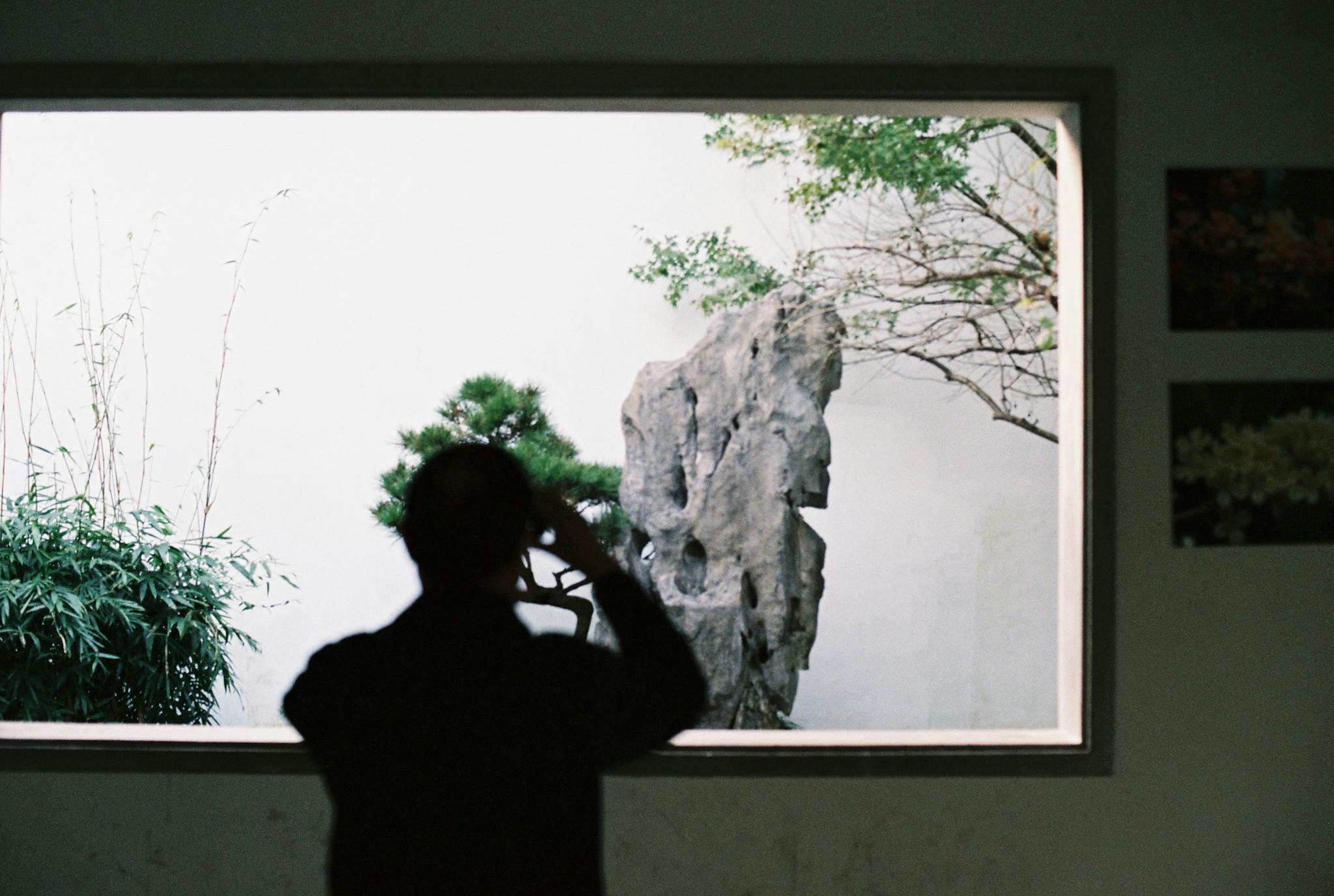 Silhouette of a man taking a photo inside a museum with greenery outside.