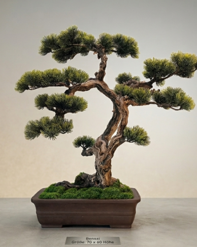 Design Bonsai <br>70 x 60 cm