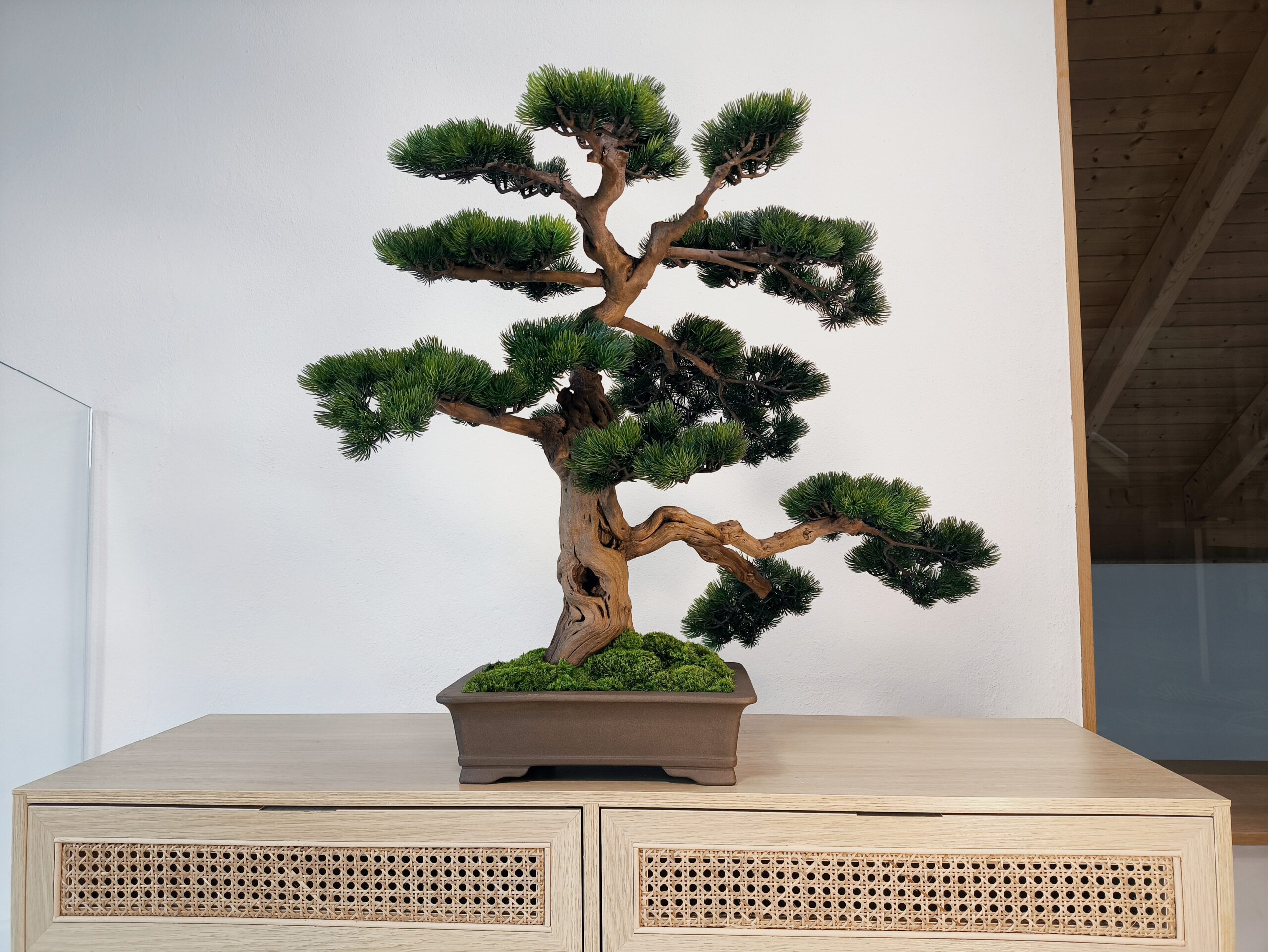 Design Bonsai <br>70 x 90 cm – Bild 11