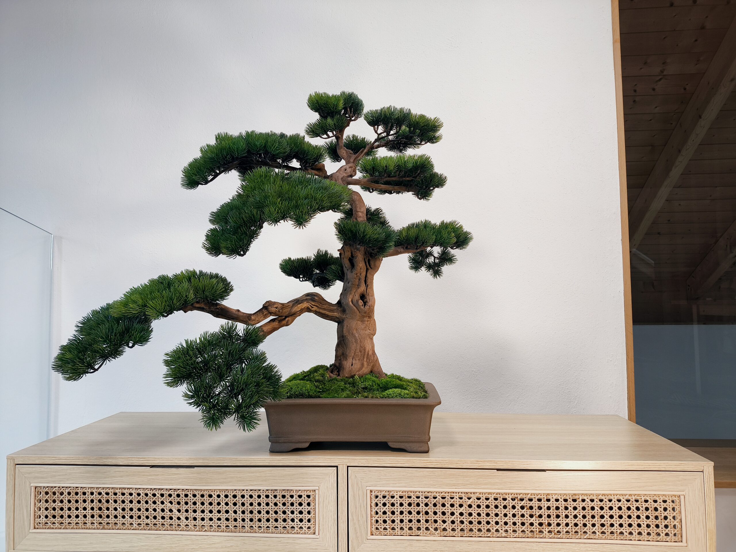 Design Bonsai <br>70 x 90 cm – Bild 12