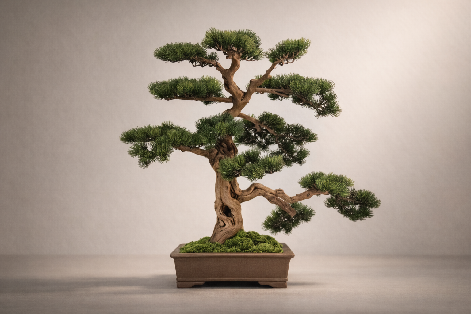 Design Bonsai <br>70 x 90 cm