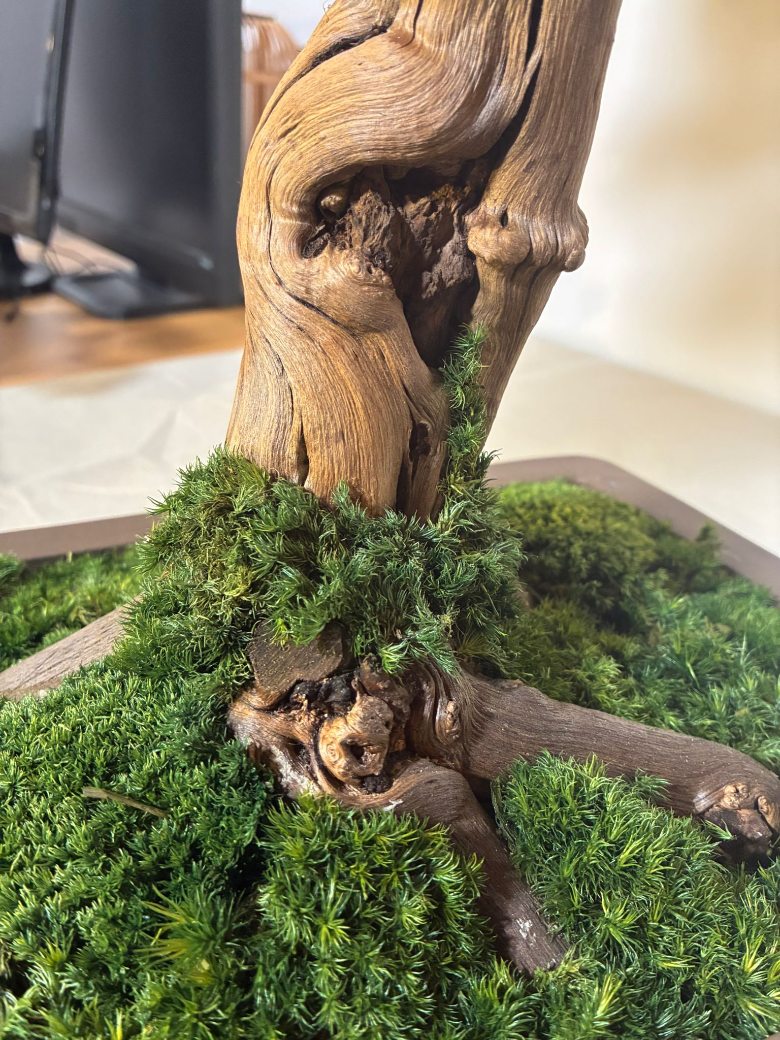 Design Bonsai <br> 85 × 95 cm – Bild 8