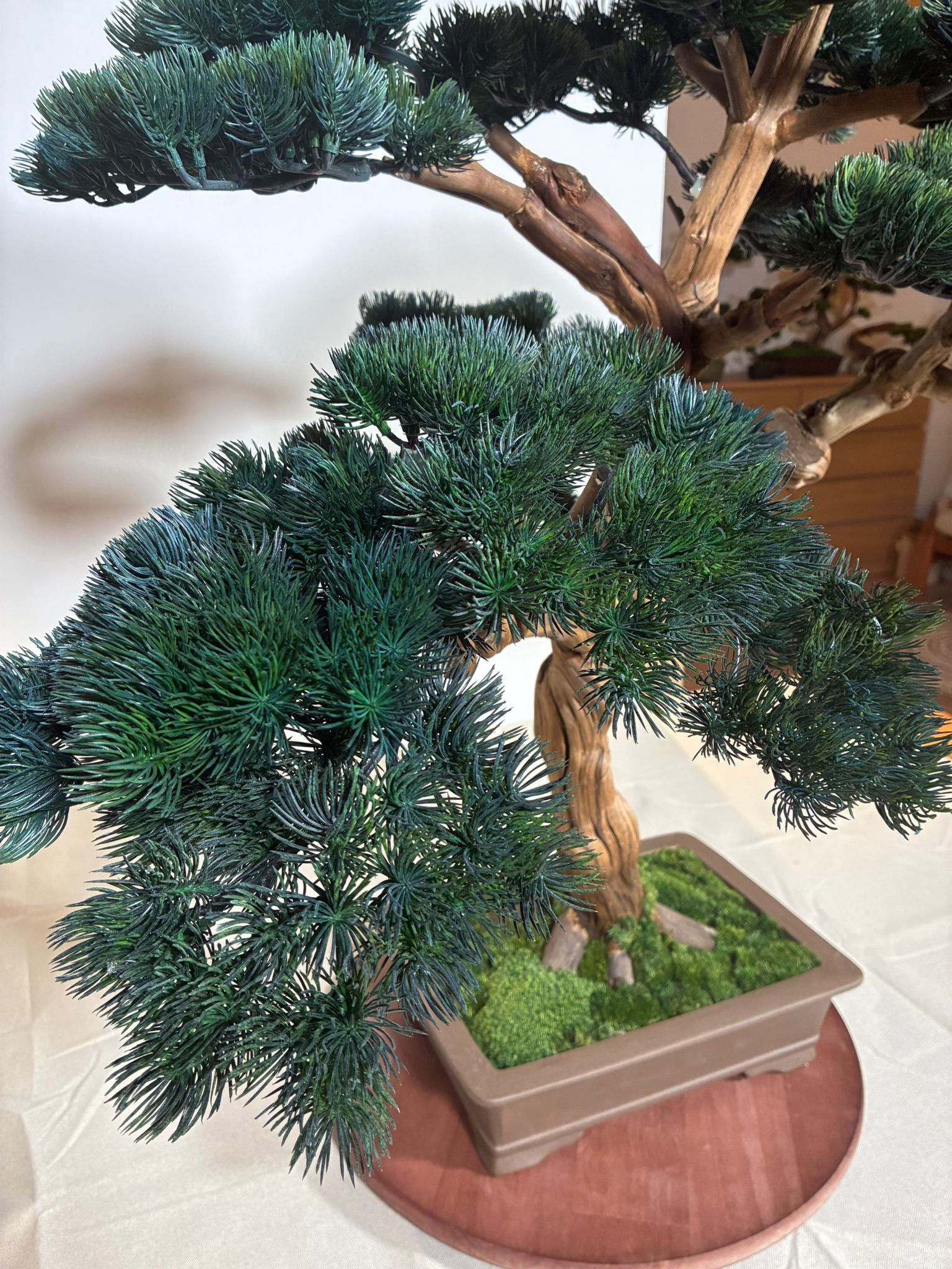 Design Bonsai <br> 85 × 95 cm – Bild 9