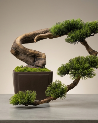 Design Bonsai <br>30 × 33 cm