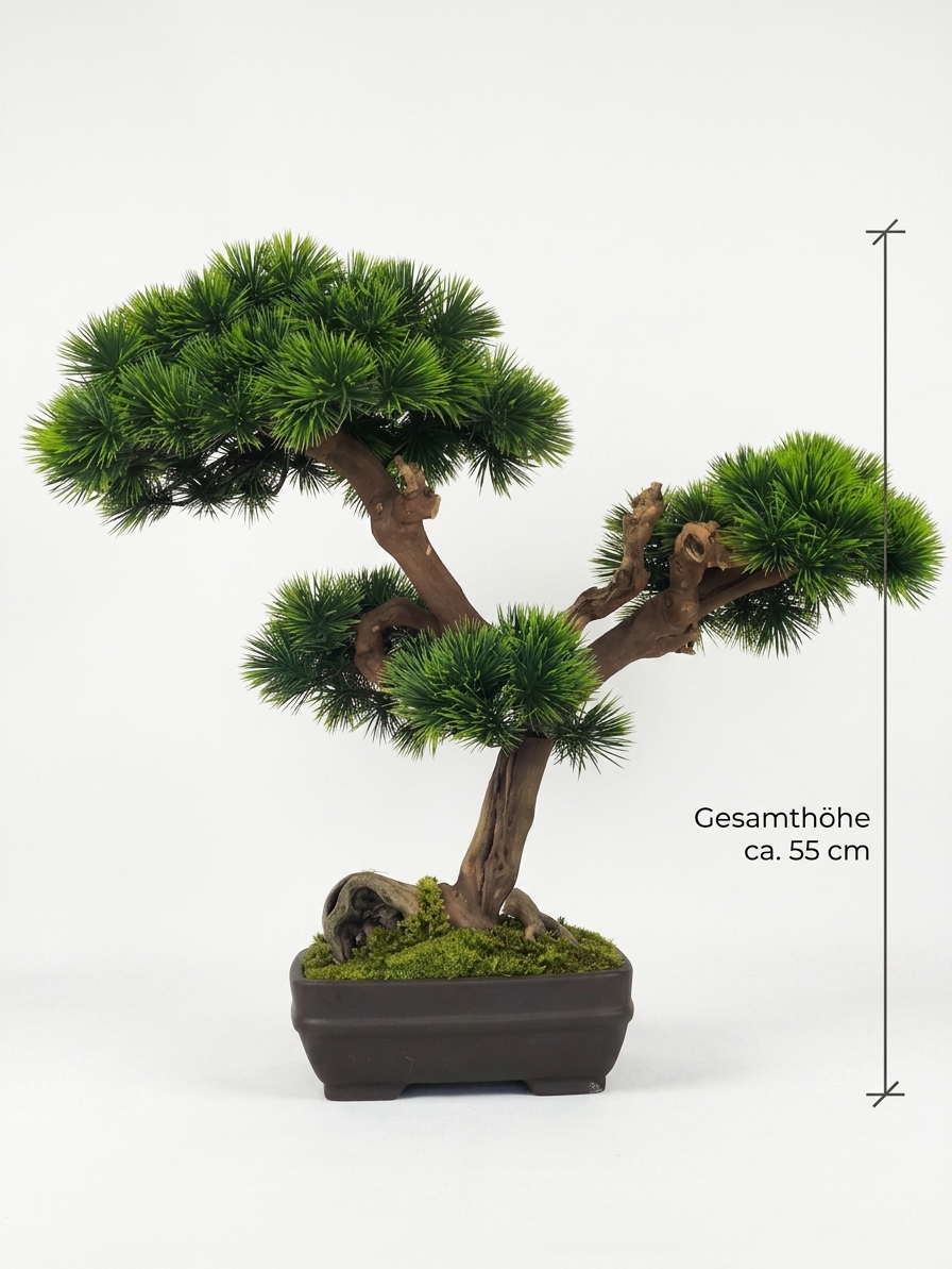Design Bonsai <br> 60 x 55 cm – Bild 2