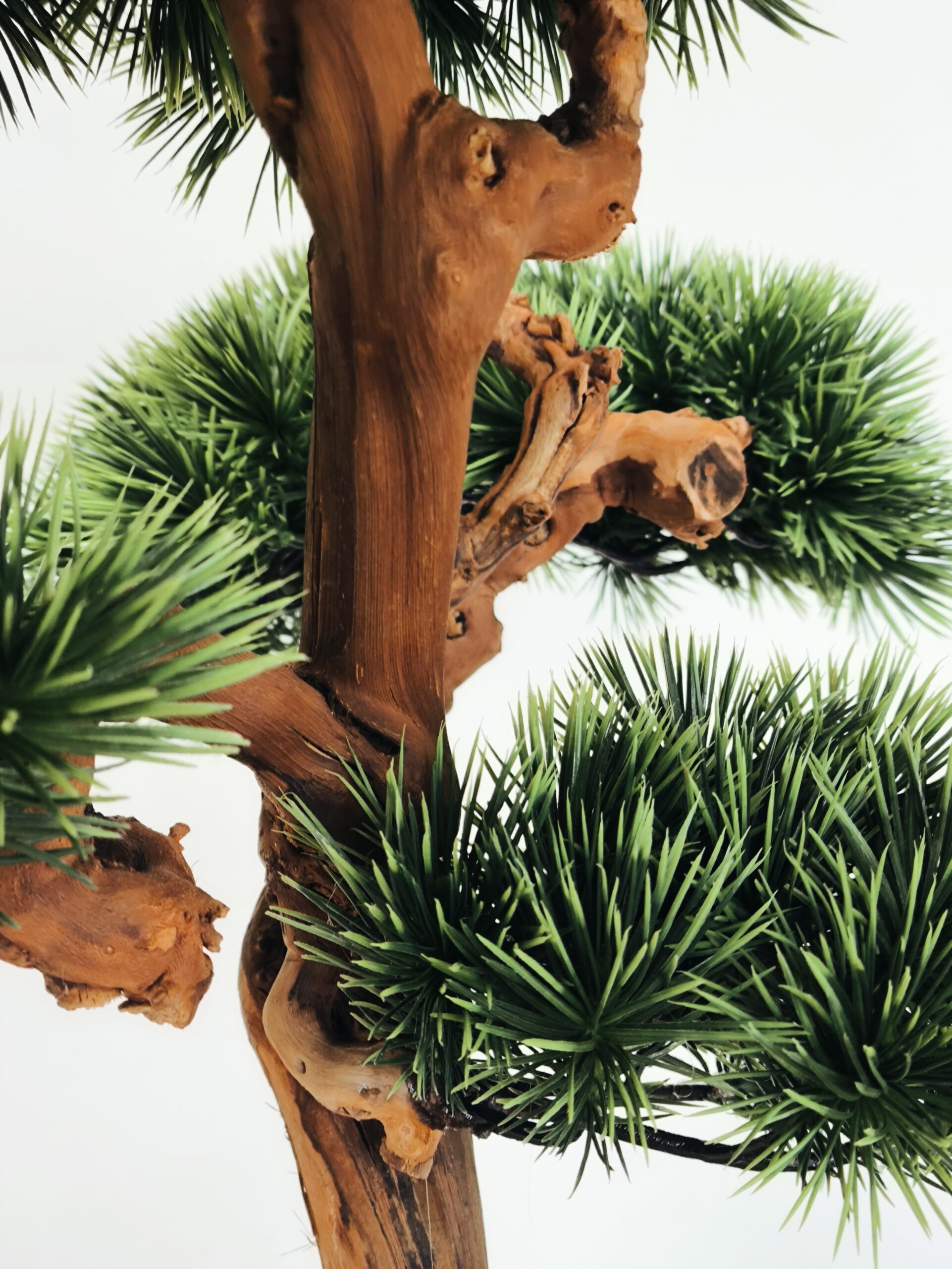 Design Bonsai <br> 60 x 55 cm – Bild 8