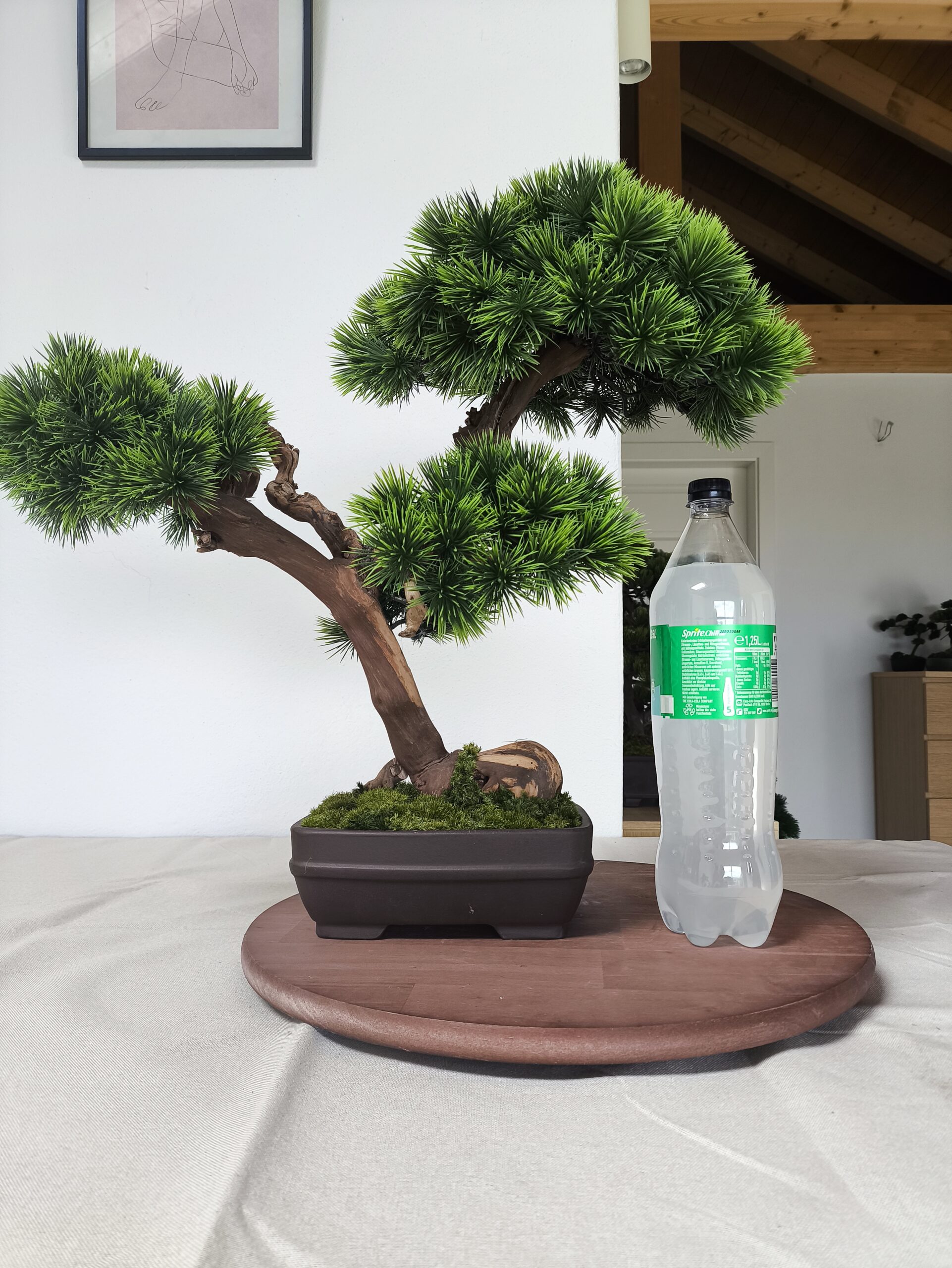 Design Bonsai <br> 60 x 55 cm – Bild 10